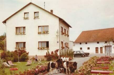 Hotel 1967