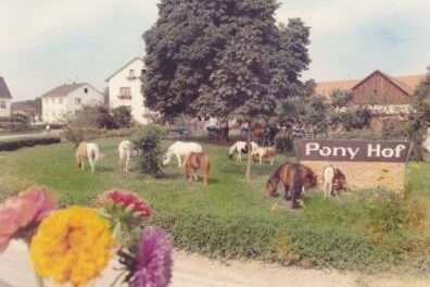 Hotel Ponyhof1964